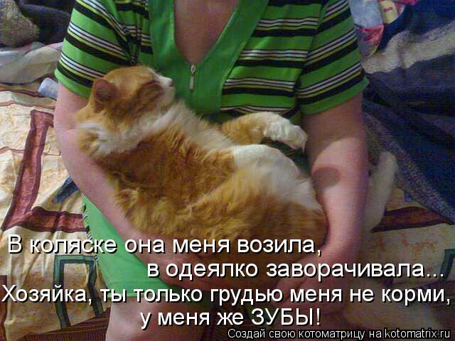 В коляске она меня возила, в одеялко заворачивала... Хозяйка, ты только грудью меня не корми, у меня ... Котоматрица: В коляске она меня возила, в одеялко заворачивала... Хозяйка, ты только грудью меня не корми, у меня же ЗУБЫ!