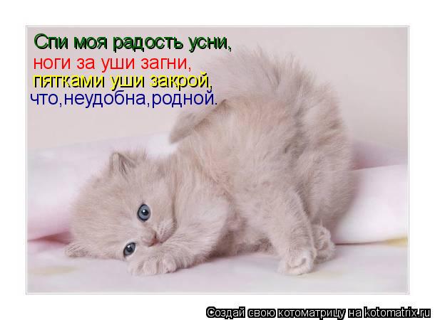 Спи Моя Радость Усни Картинки С Надписями