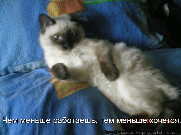 Чем меньше работаешь, тем меньше хочется.... Котоматрица: Чем меньше работаешь, тем меньше хочется.