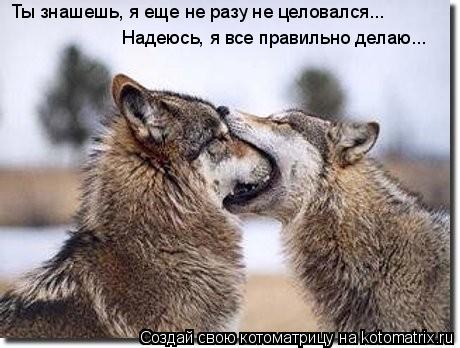 Надеюсь, я все правильно делаю... Ты знашешь, я еще не разу не целовался...... Котоматрица: Надеюсь, я все правильно делаю... Ты знашешь, я еще не разу не целовался...