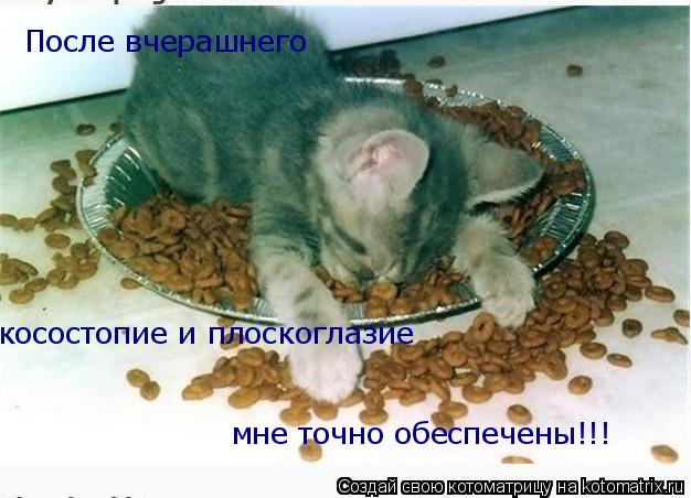 После вчерашнего косостопие и плоскоглазие мне точно обеспечены!!!... Котоматрица: После вчерашнего косостопие и плоскоглазие мне точно обеспечены!!!