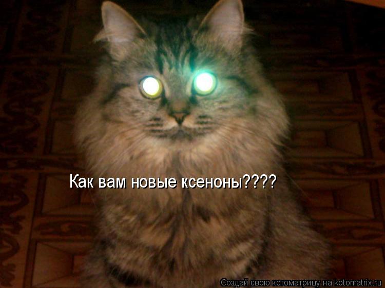 Как вам новые ксеноны????... Котоматрица: Как вам новые ксеноны????