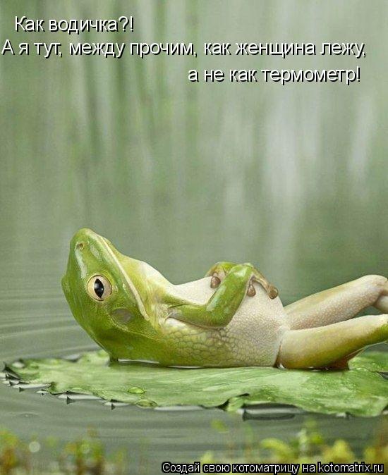 Как водичка?! А я тут, между прочим, как женщина лежу, а не как термометр!... Котоматрица: Как водичка?! А я тут, между прочим, как женщина лежу, а не как термометр!