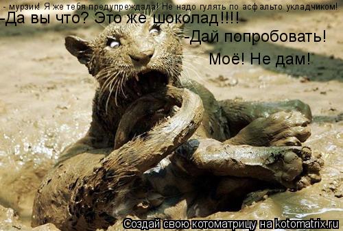 - мурзик! Я же тебя предупреждала! Не надо гулять по асфальто укладчиком! -Да вы что? Это же шоколад!... Котоматрица: - мурзик! Я же тебя предупреждала! Не надо гулять по асфальто укладчиком! -Да вы что? Это же шоколад!!!! -Дай попробовать! Моё! Не дам!