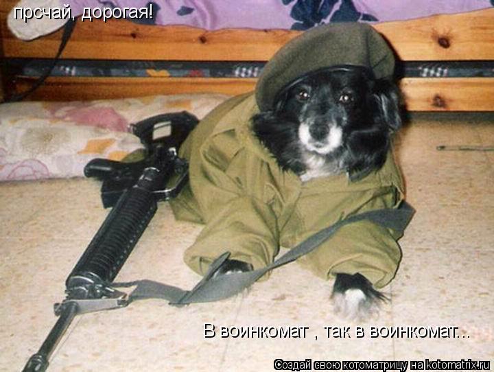 прсчай, дорогая! В воинкомат , так в воинкомат...... Котоматрица: прсчай, дорогая! В воинкомат , так в воинкомат...