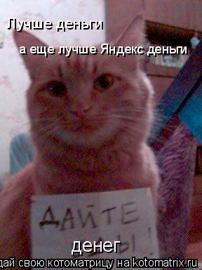 денег Лучше деньги а еще лучше Яндекс деньги... Котоматрица: денег Лучше деньги а еще лучше Яндекс деньги