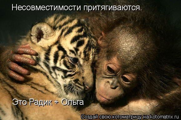 Несовместимости притягиваются. Несовместимости притягиваются. Это Радик + Ольга Это Радик + Ольга... Котоматрица: Несовместимости притягиваются. Несовместимости притягиваются. Это Радик + Ольга Это Радик + Ольга