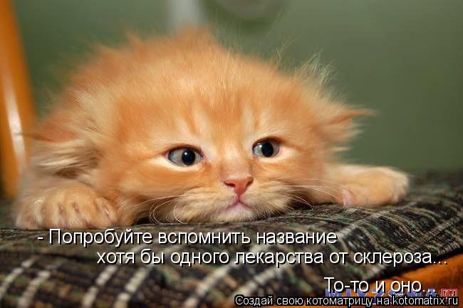 - Попробуйте вспомнить название хотя бы одного лекарства от склероза... То-то и оно...... Котоматрица: - Попробуйте вспомнить название хотя бы одного лекарства от склероза... То-то и оно...