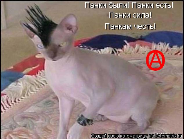 О Панки были! Панки есть! Панки сила! Панкам честь! А... Котоматрица: О Панки были! Панки есть! Панки сила! Панкам честь! А