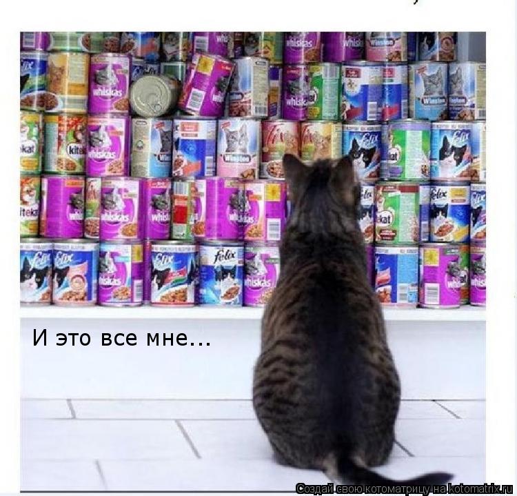 И это все мне...... Котоматрица: И это все мне...