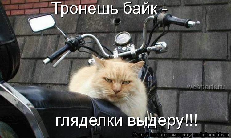 Тронешь байк - гляделки выдеру!!!... Котоматрица: Тронешь байк - гляделки выдеру!!!