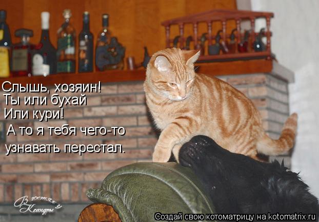 Слышь, хозяин! Ты или бухай Или кури! А то я тебя чего-то узнавать перестал.... Котоматрица: Слышь, хозяин! Ты или бухай Или кури! А то я тебя чего-то узнавать перестал.