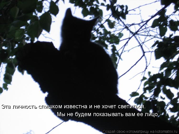 Эта личность слишком известна и не хочет светиться. Мы не будем показывать вам ее лицо... Котоматрица: Эта личность слишком известна и не хочет светиться. Мы не будем показывать вам ее лицо