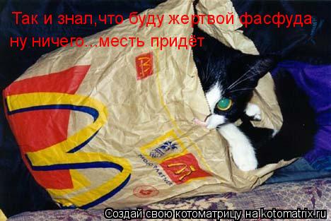 Так и знал,что буду жертвой фасфуда ну ничего...месть придёт... Котоматрица: Так и знал,что буду жертвой фасфуда ну ничего...месть придёт