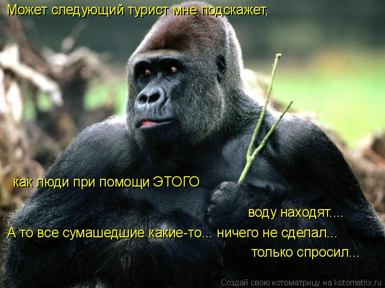Может следующий турист мне подскажет, как люди при помощи ЭТОГО воду находят.... А то все сумашедшие ... Котоматрица: Может следующий турист мне подскажет, как люди при помощи ЭТОГО воду находят.... А то все сумашедшие какие-то... ничего не сделал... только спро