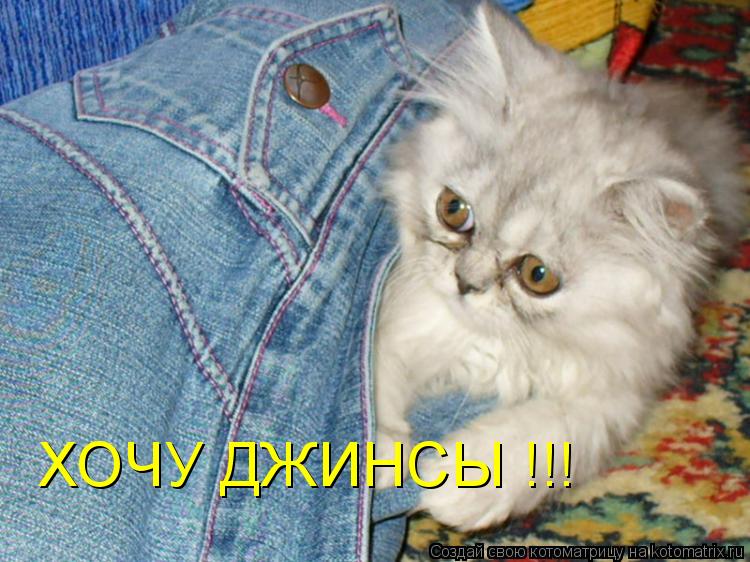 ХОЧУ ДЖИНСЫ !!!... Котоматрица: ХОЧУ ДЖИНСЫ !!!