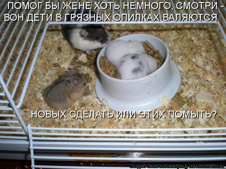 ПОМОГ БЫ ЖЕНЕ ХОТЬ НЕМНОГО, СМОТРИ - ВОН ДЕТИ В ГРЯЗНЫХ ОПИЛКАХ ВАЛЯЮТСЯ ВОН ДЕТИ В ГРЯЗНЫХ ОПИЛКАХ В... Котоматрица: ПОМОГ БЫ ЖЕНЕ ХОТЬ НЕМНОГО, СМОТРИ - ВОН ДЕТИ В ГРЯЗНЫХ ОПИЛКАХ ВАЛЯЮТСЯ ВОН ДЕТИ В ГРЯЗНЫХ ОПИЛКАХ ВАЛЯЮТСЯ НОВЫХ СДЕЛАТЬ ИЛИ ЭТИХ ПОМЫТЬ?