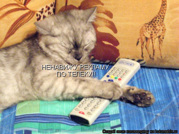 НЕНАВИЖУ РЕКЛАМУ ПО ТЕЛЕКУ!!... Котоматрица: НЕНАВИЖУ РЕКЛАМУ ПО ТЕЛЕКУ!!