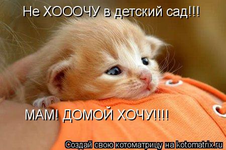 Не ХОООЧУ в детский сад!!! МАМ! ДОМОЙ ХОЧУ!!!!... Котоматрица: Не ХОООЧУ в детский сад!!! МАМ! ДОМОЙ ХОЧУ!!!!