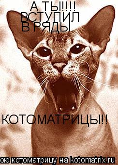 А ТЫ!!!! ВСТУПИЛ В РЯДЫ КОТОМАТРИЦЫ!!... Котоматрица: А ТЫ!!!! ВСТУПИЛ В РЯДЫ КОТОМАТРИЦЫ!!