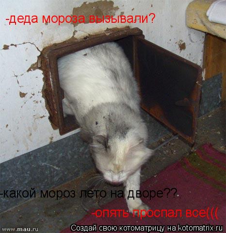 -какой мороз лето на дворе?? -опять проспал все((( -деда мороза вызывали?... Котоматрица: -какой мороз лето на дворе?? -опять проспал все((( -деда мороза вызывали?