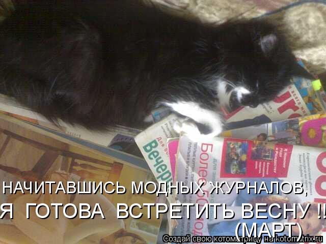 НАЧИТАВШИСЬ МОДНЫХ ЖУРНАЛОВ, Я ГОТОВА ВСТРЕТИТЬ ВЕСНУ !!! (МАРТ)... Котоматрица: НАЧИТАВШИСЬ МОДНЫХ ЖУРНАЛОВ, Я ГОТОВА ВСТРЕТИТЬ ВЕСНУ !!! (МАРТ)