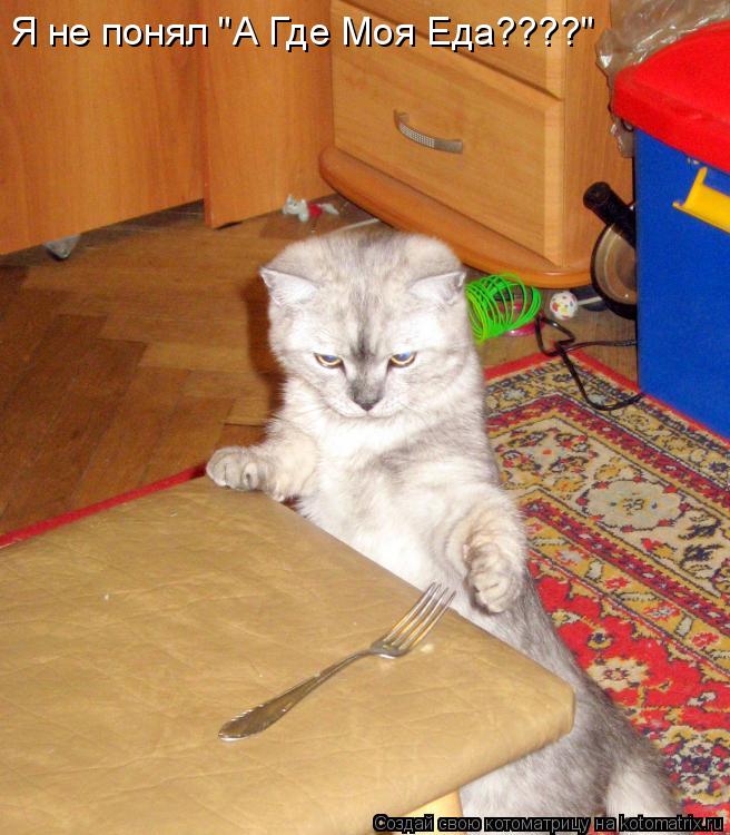 Я не понял "А Где Моя Еда????"... Котоматрица: Я не понял "А Где Моя Еда????"