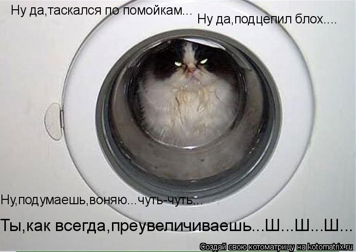 Ну да,таскался по помойкам... Ну да,подцепил блох.... Ну,подумаешь,воняю...чуть-чуть... Ты,как всегда... Котоматрица: Ну да,таскался по помойкам... Ну да,подцепил блох.... Ну,подумаешь,воняю...чуть-чуть... Ты,как всегда,преувеличиваешь...Ш...Ш...Ш...