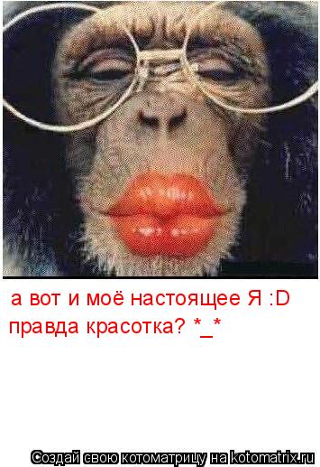 а вот и моё настоящее Я :D правда красотка? *_*... Котоматрица: а вот и моё настоящее Я :D правда красотка? *_*