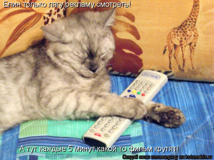 Блин только лягу рекламу смотреть! А тут каждые 5 минут какой то фильм крутят!... Котоматрица: Блин только лягу рекламу смотреть! А тут каждые 5 минут какой то фильм крутят!