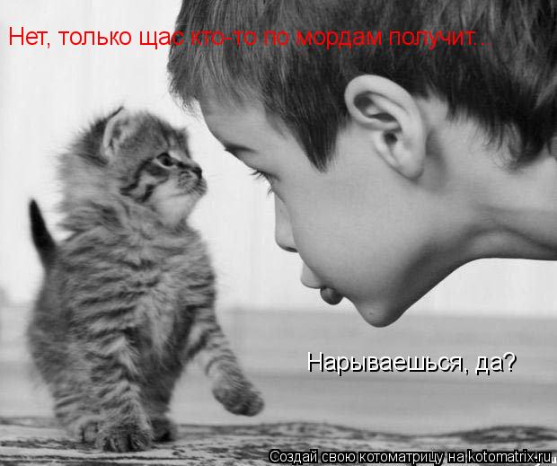 Нарываешься, да? Нет, только щас кто-то по мордам получит...... Котоматрица: Нарываешься, да? Нет, только щас кто-то по мордам получит...