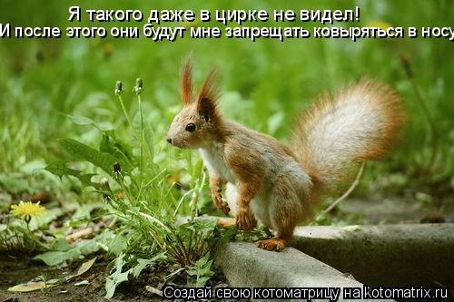 Я такого даже в цирке не видел! И после этого они будут мне запрещать ковыряться в носу!!!... Котоматрица: Я такого даже в цирке не видел! И после этого они будут мне запрещать ковыряться в носу!!!