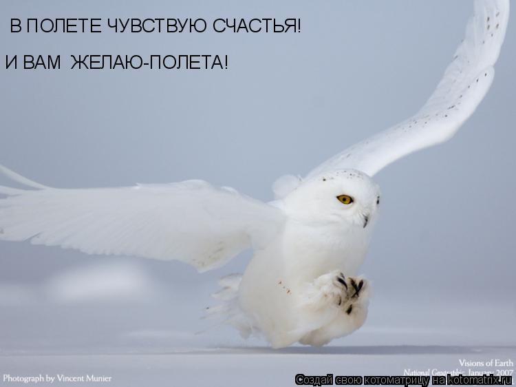 В ПОЛЕТЕ ЧУВСТВУЮ СЧАСТЬЯ! И ВАМ ЖЕЛАЮ-ПОЛЕТА!... Котоматрица: В ПОЛЕТЕ ЧУВСТВУЮ СЧАСТЬЯ! И ВАМ ЖЕЛАЮ-ПОЛЕТА!