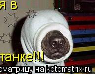 я в танке!!!... Котоматрица: я в танке!!!