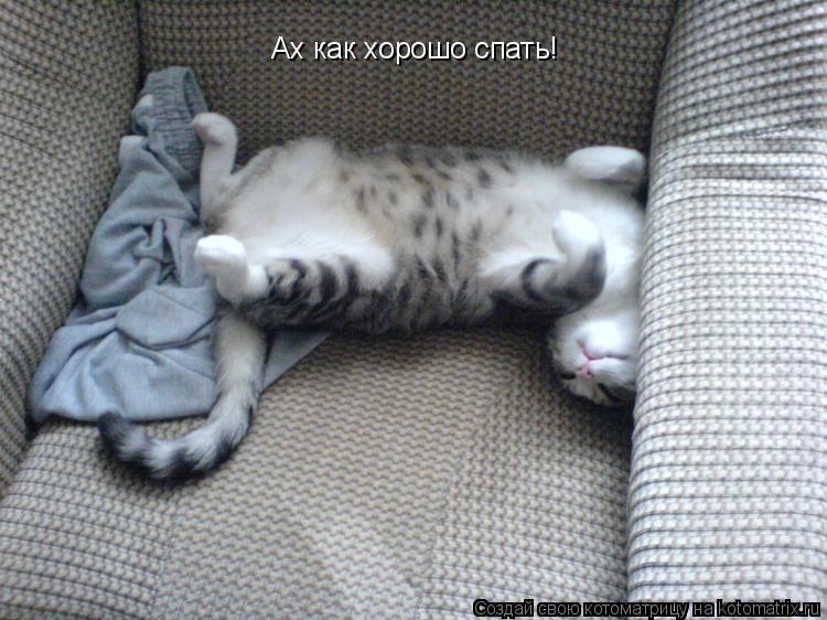 Ах как хорошо спать!... Котоматрица: Ах как хорошо спать!
