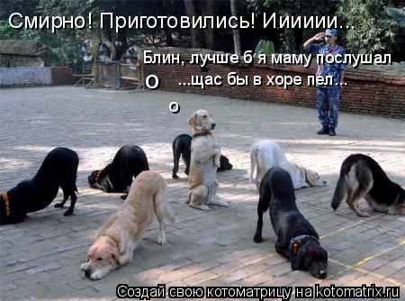 Смирно! Приготовились! Ииииии... о Блин, лучше б я маму послушал ...щас бы в хоре пел... о... Котоматрица: Смирно! Приготовились! Ииииии... о Блин, лучше б я маму послушал ...щас бы в хоре пел... о