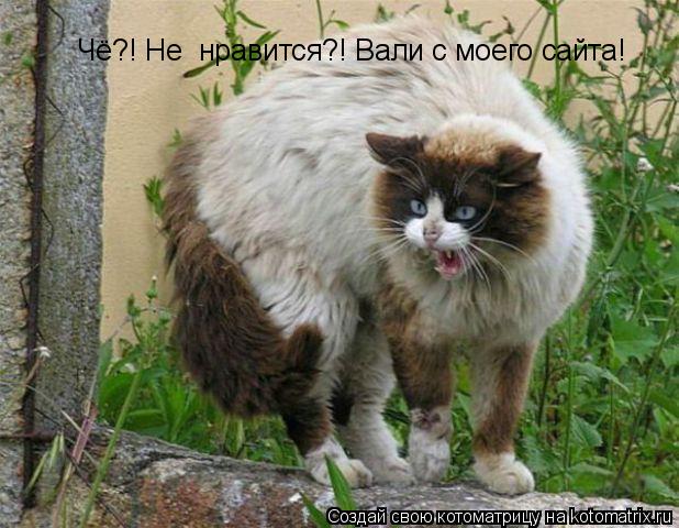 Чё?! Не нравится?! Вали с моего сайта!... Котоматрица: Чё?! Не нравится?! Вали с моего сайта!
