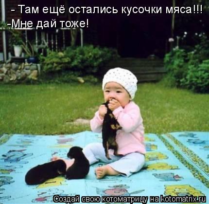 - Там ещё остались кусочки мяса!!! -Мне дай тоже!... Котоматрица: - Там ещё остались кусочки мяса!!! -Мне дай тоже!