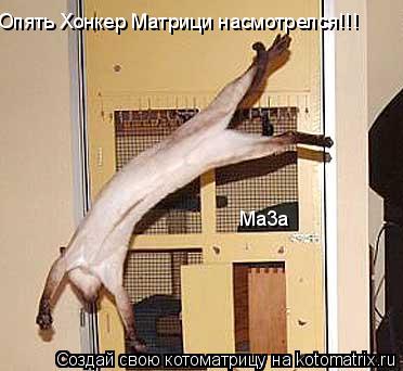 Опять Хонкер Матрици насмотрелся!!! Ma3a... Котоматрица: Опять Хонкер Матрици насмотрелся!!! Ma3a