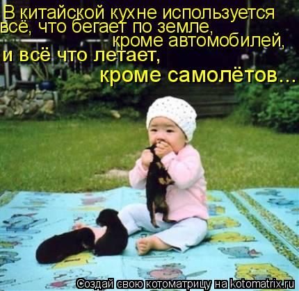 В китайской кухне используется всё, что бегает по земле, кроме автомобилей, и всё что летает, кроме... Котоматрица: В китайской кухне используется всё, что бегает по земле, кроме автомобилей, и всё что летает, кроме самолётов...