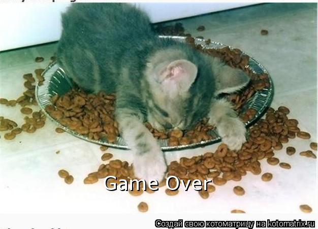Game Over Game Over... Котоматрица: Game Over Game Over