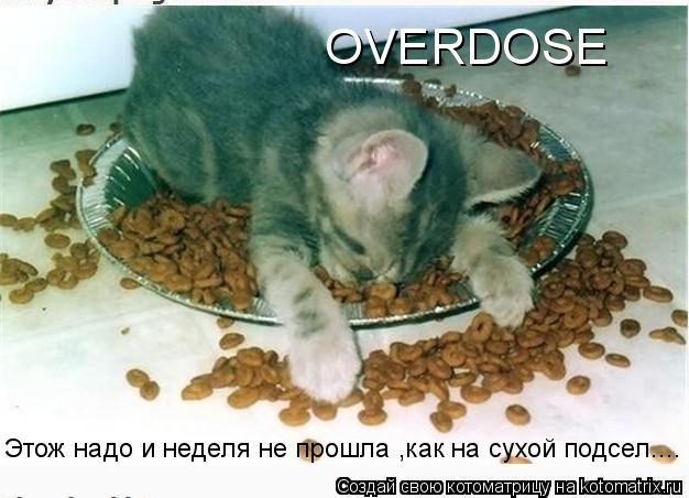 OVERDOSE Этож надо и неделя не прошла ,как на сухой подсел....... Котоматрица: OVERDOSE Этож надо и неделя не прошла ,как на сухой подсел....