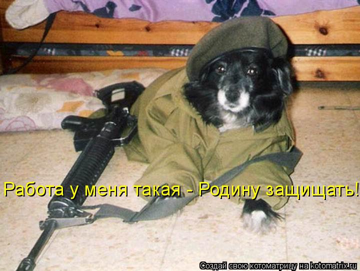 Работа у меня такая - Родину защищать!... Котоматрица: Работа у меня такая - Родину защищать!