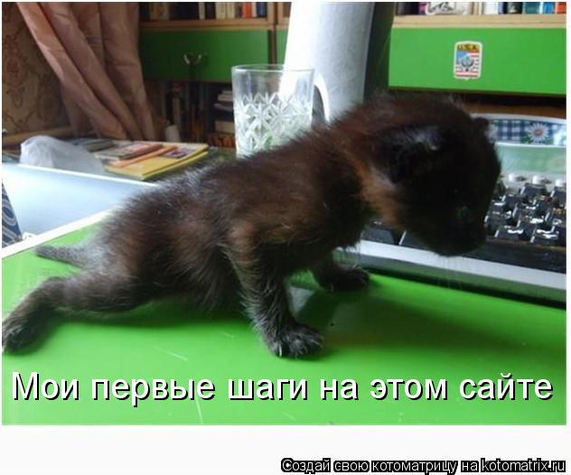 Мои первые шаги на этом сайте... Котоматрица: Мои первые шаги на этом сайте