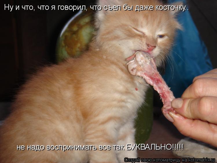 Ну и что, что я говорил, что съел бы даже косточку.. не надо воспринимать все так БУКВАЛЬНО!!!!!... Котоматрица: Ну и что, что я говорил, что съел бы даже косточку.. не надо воспринимать все так БУКВАЛЬНО!!!!!