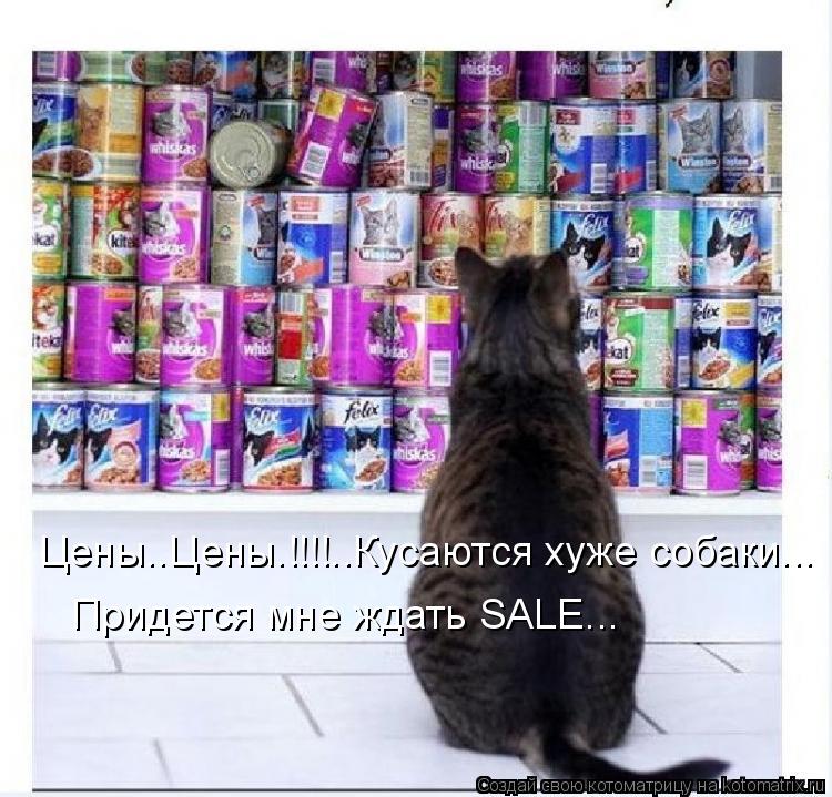 Цены..Цены.!!!!..Кусаются хуже собаки... Придется мне ждать SALE...... Котоматрица: Цены..Цены.!!!!..Кусаются хуже собаки... Придется мне ждать SALE...