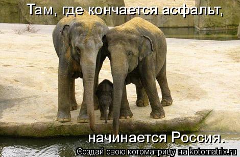 Там, где кончается асфальт, начинается Россия.... Котоматрица: Там, где кончается асфальт, начинается Россия.