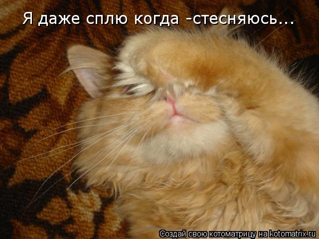 Я даже сплю когда -стесняюсь...... Котоматрица: Я даже сплю когда -стесняюсь...