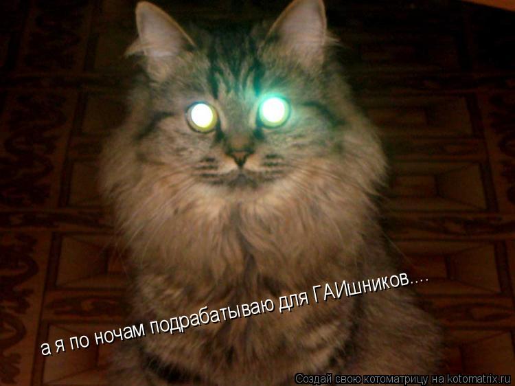 а я по ночам подрабатываю для ГАИшников....... Котоматрица: а я по ночам подрабатываю для ГАИшников....