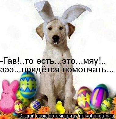 -Гав!..то есть...это...мяу!.. эээ...придётся помолчать...... Котоматрица: -Гав!..то есть...это...мяу!.. эээ...придётся помолчать...